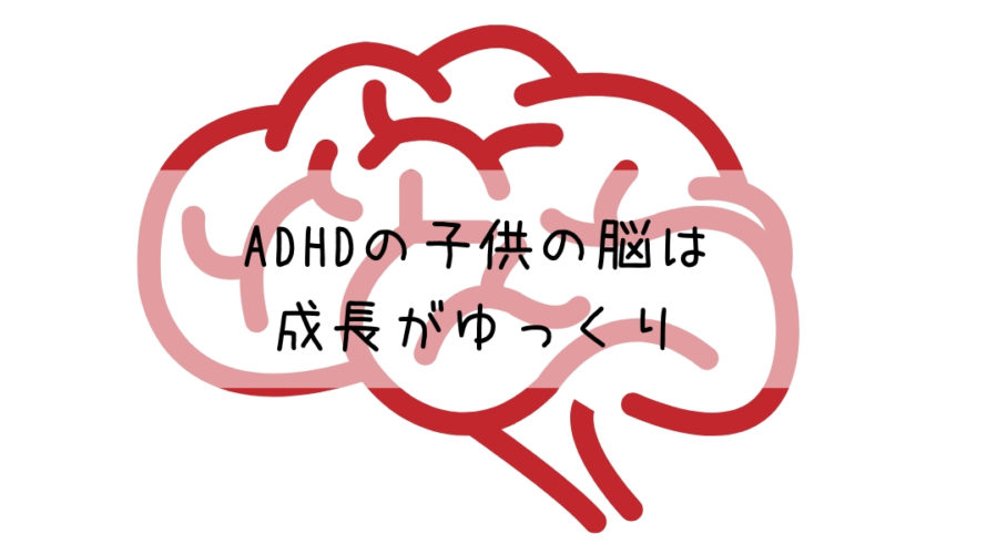発達障害〜ADHDの子供の脳は成長が遅い！見た目と中身のギャップがすごい